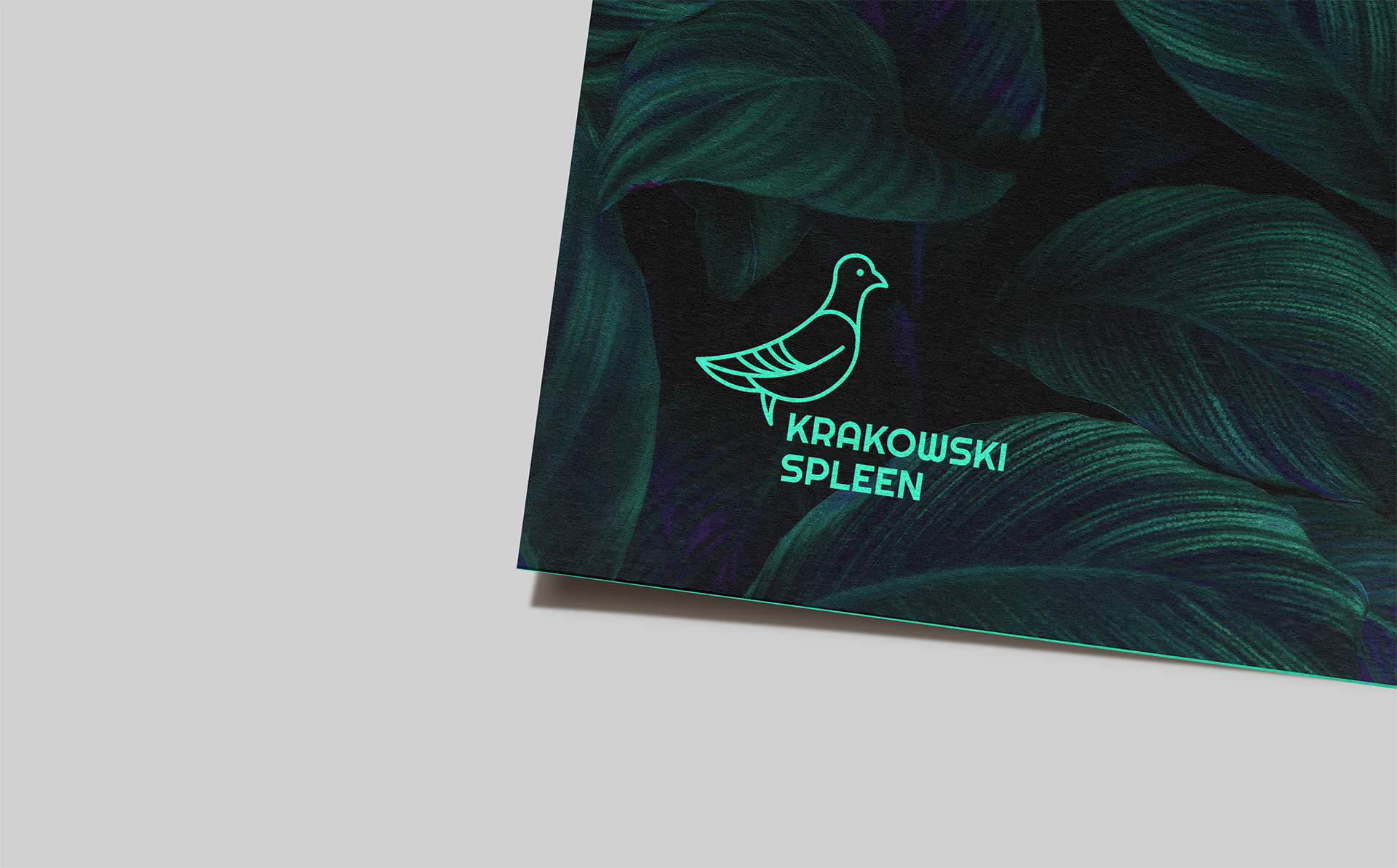 Branding Krakowski Spleen